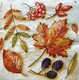 Herbstservietten